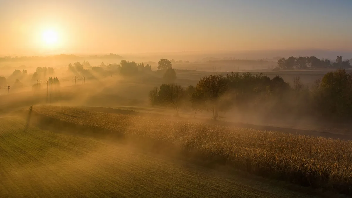 Aerial view of a misty agricultural landscape during sunrise with warm golden hues.