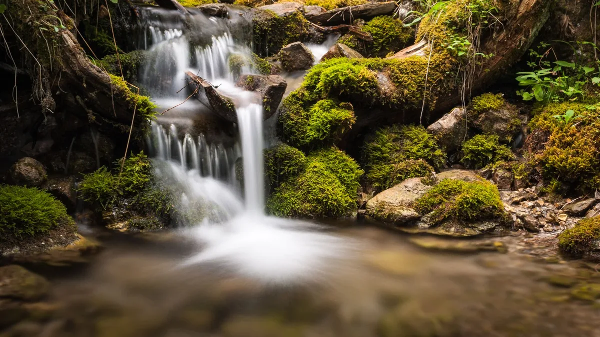 A serene forest stream flows over mossy rocks, creating a peaceful natural landscape.